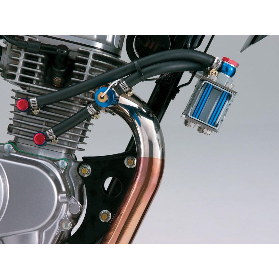 DAYTONA（デイトナ） ステンレスマフラー焼け取り剤 96318 : バイク