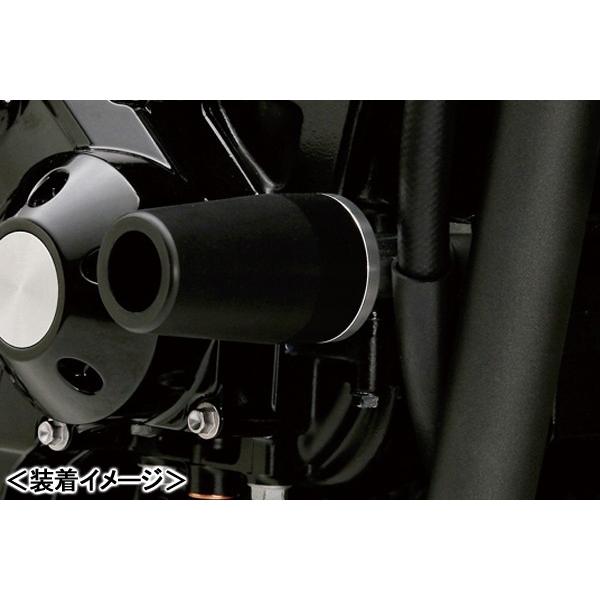 DAYTONA エンジンプロテクター/ZRX1200DAEG（09-13） 79941