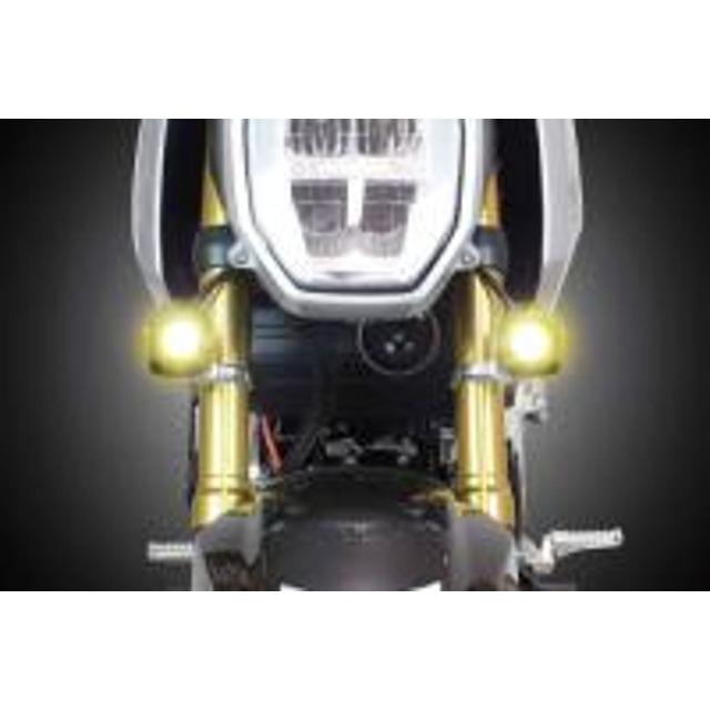 SP武川 SPタケガワ LEDフォグランプキット3.0(950/レモンイエロー)(2個入り) 05-08-0663の画像