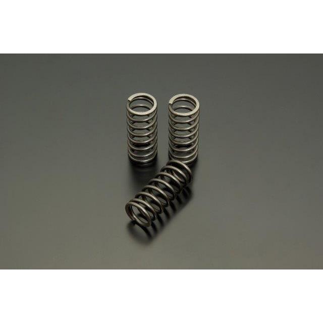 SpringSALE★更にお値下げ(^^ アスセイバー グラベル BIG リアフェンダー WOLF サドルレール