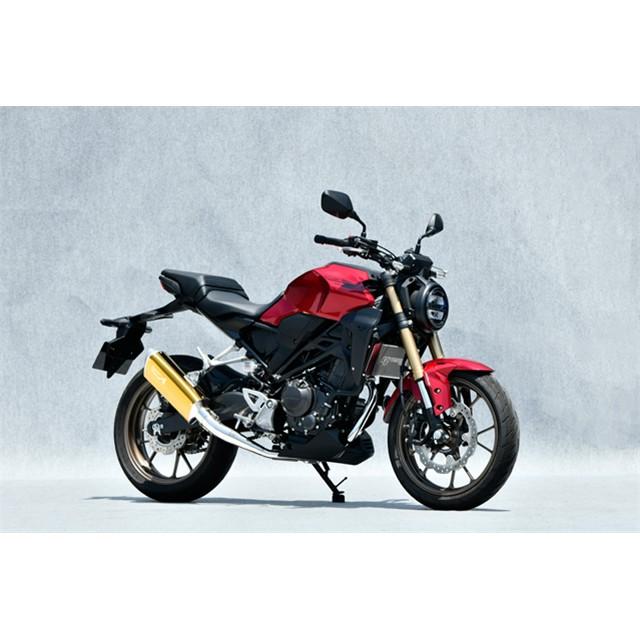 Yamamoto ヤマモトレーシング マフラー 22〜 CB250R SUS  TYPE-SA  ゴールド 2022年〜 10271-71SAGの画像