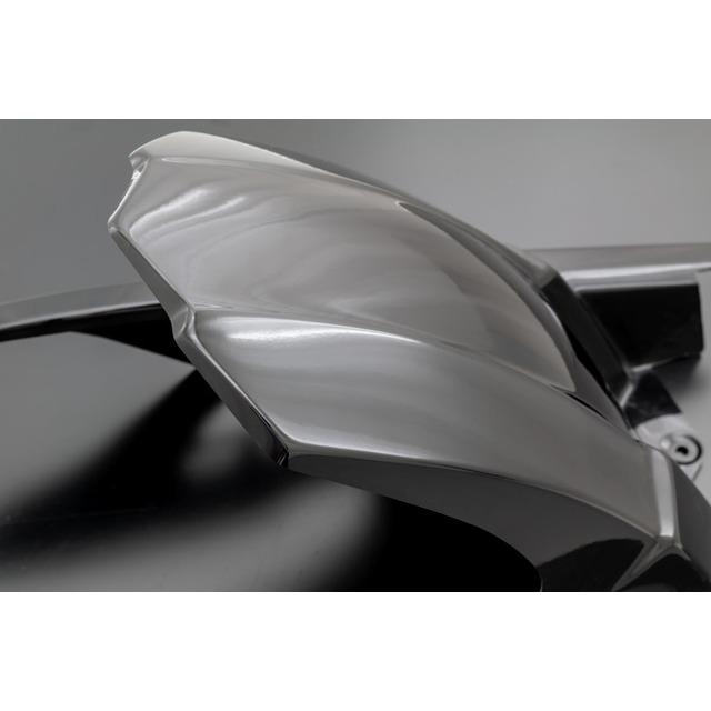 PMC ARCHI アーキ ピーエムシー 黒ゲルFRPリアフェンダー Z900RS 189