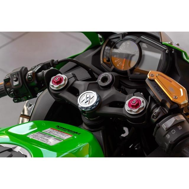 PMC 在庫有り ピーエムシー ステムトップキャップ ZX-25R シルバー 193