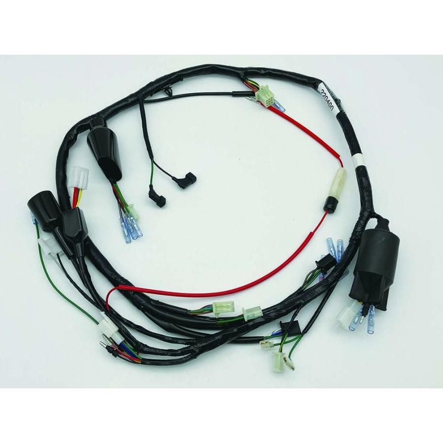 フェイスV  1台 POSH CF CFポッシュ HONDA ホンダ NSR50 メインハーネス 220400