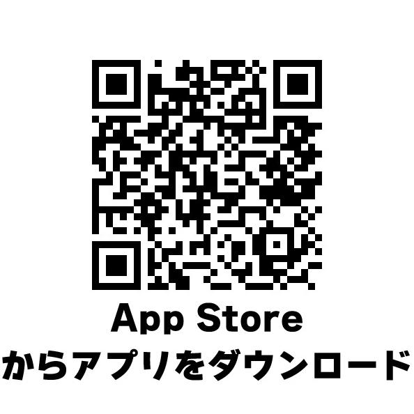 KIJIMA（キジマ） 在庫有り Batt Check バットチェック バッテリー
