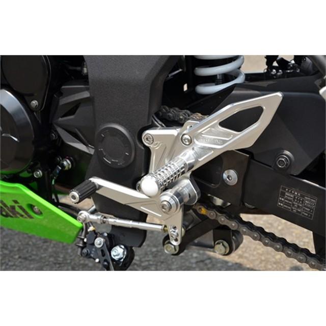 アグラス バックステップ NINJA250SL 15 (312-495-000)の画像