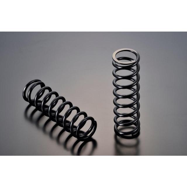 ADVANTAGE（アドバンテージ） SHOWA ショウワ スペシャル・リヤ