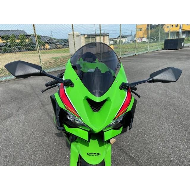 ACRY-Point アクリポイント ZX-6R 24- スモークスクリーン ストリート