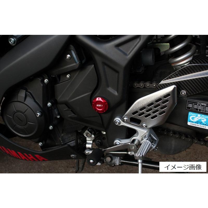 SPEEDRA YAMAHA YZF-R25/YZF-R3YAMAHA MT-25/MT-03 フレーム