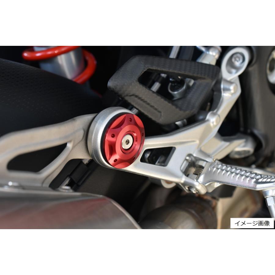 SPEEDRA（スピードラ） BMW S1000RR 2019- マフラーステーキャップ