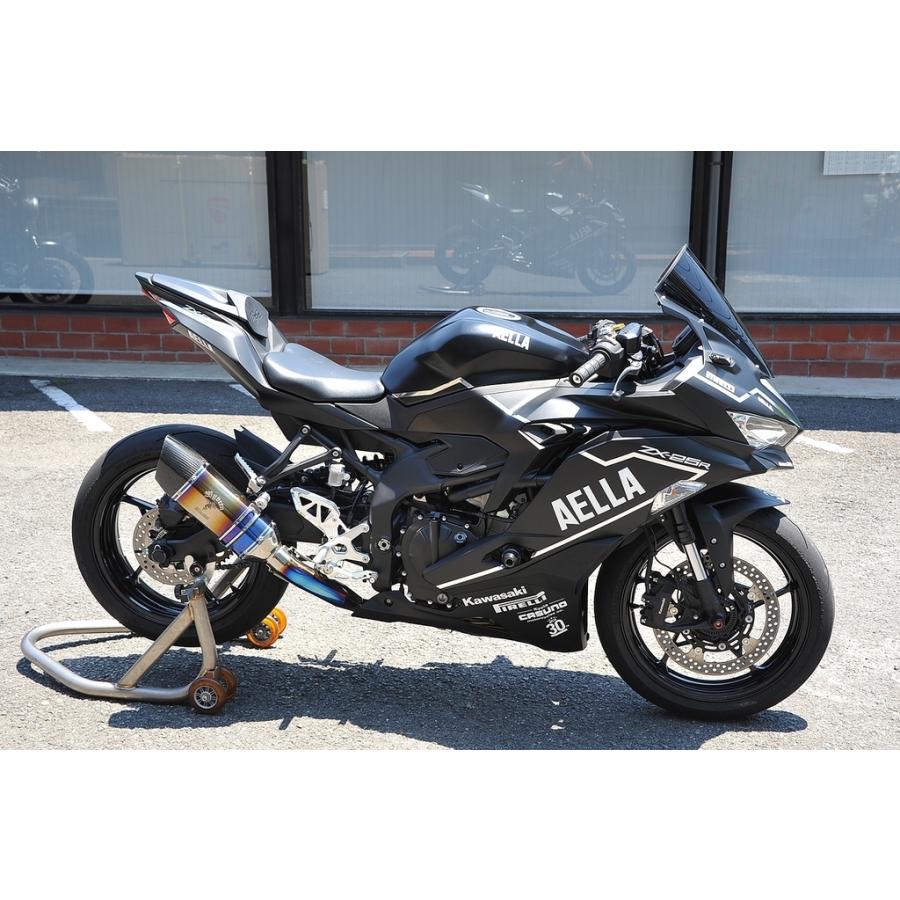 AELLA アエラ ハイスクリーン ダークスモーク Kawasaki カワサキ AELLA アエラ ハイスクリーン ダークスモーク Kawasaki カワサキ
