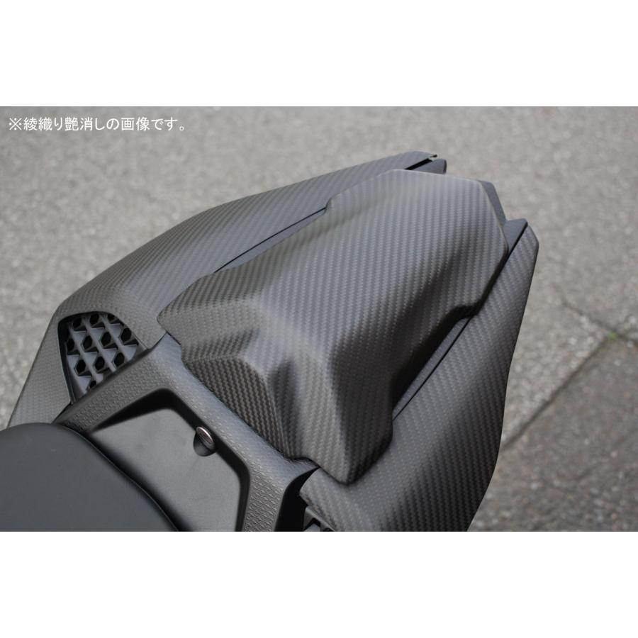 SPEEDRA BMW S1000RR 2019-2022 シングルシートカウル ドライ