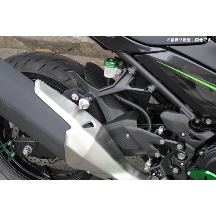 SPEEDRA（スピードラ） KAWASAKI NINJA250/400 2018-KAWASAKI Z250