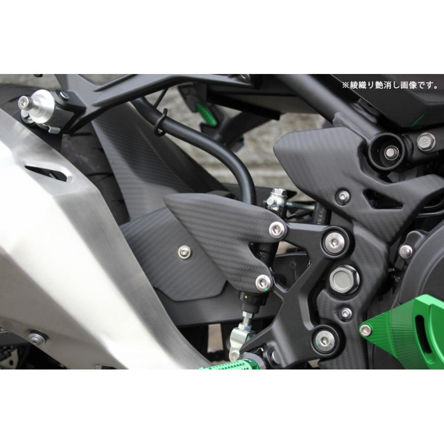 SPEEDRA Ninja250/400 Z250/400カーボンヒールプレート SPEEDRA Ninja250/400 Z250/400カーボンヒールプレート 【公式通販】