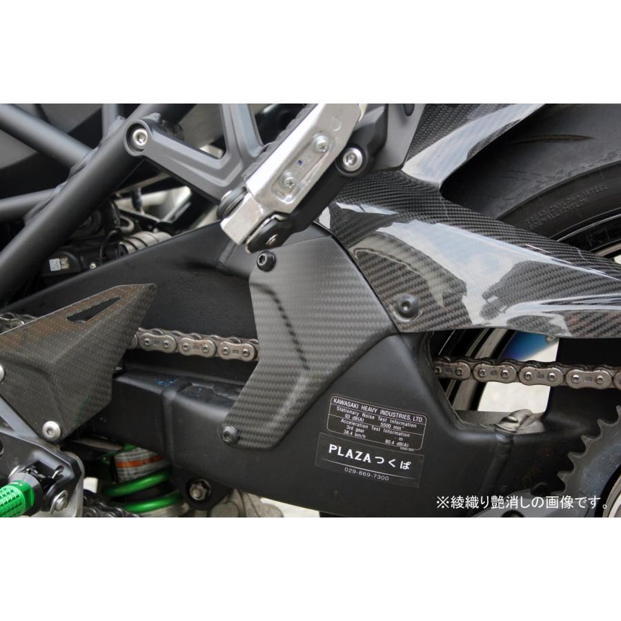 SPEEDRA（スピードラ） KAWASAKI Ninja H2 SX/Ninja H2 SX SE スイング