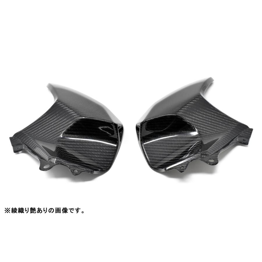 09品です SPEEDRA（スピードラ） KAWASAKI Ninja H2 SX/Ninja H2 SX SE タンク