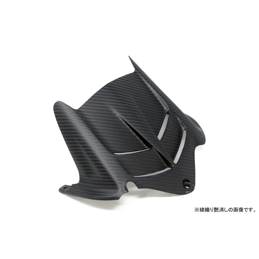 SPEEDRA（スピードラ） KAWASAKI ZX-6R 2013- リアフェンダー ドライ