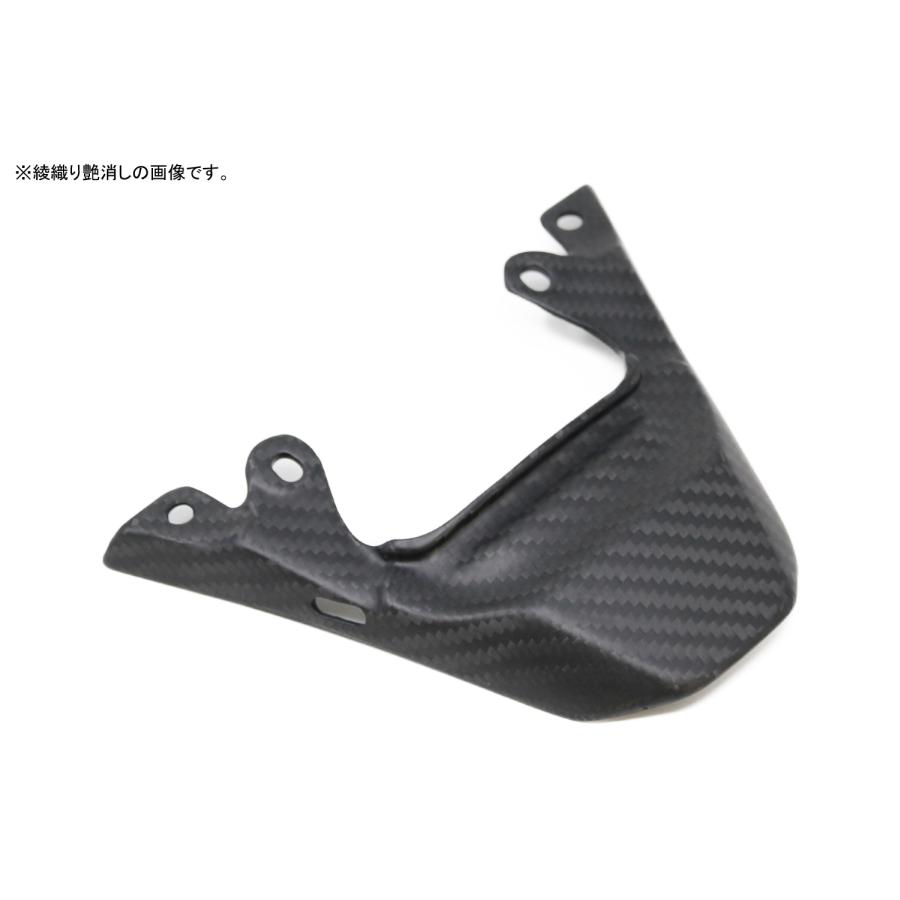 SPEEDRA（スピードラ） KAWASAKI ZX-6R 2019- テールライトカバー