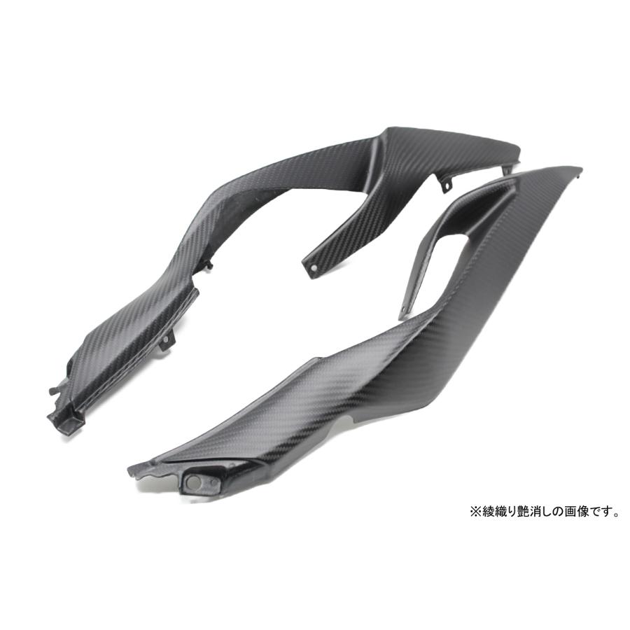 SPEEDRA（スピードラ） KAWASAKI ZX-6R 2019- テールサイドカバー 左右