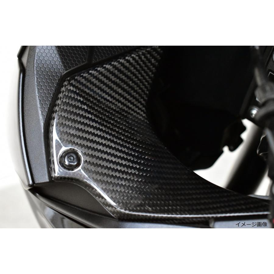 SPEEDRA KAWASAKI ZX-6R 2019- インナーサイドパネル 左右セット 