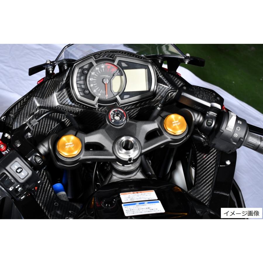 SPEEDRA（スピードラ） KAWASAKI ZX-25R 2020 メーターカバー ドライ