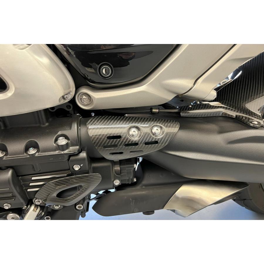 SPEEDRA スピードラ スイングアームカバー フォージドカーボン(艶あり