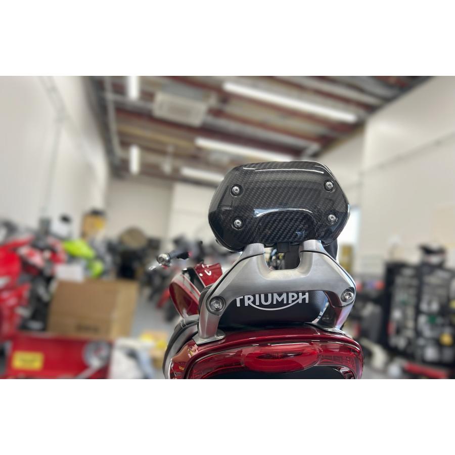 SPEEDRA スピードラ シートバックカバー フォージドカーボン(艶あり) ctr0319fgの画像
