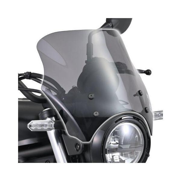 DAYTONA（デイトナ） 在庫有り ブラストバリアー スクリーン KAWASAKI