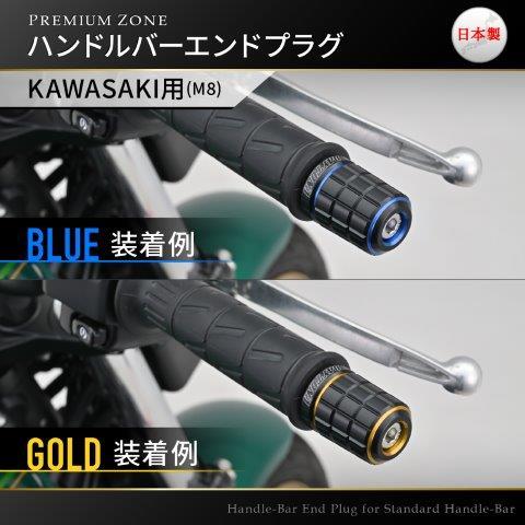 DAYTONA（デイトナ） 在庫有り PREMIUM ZONE(プレミアムゾーン) バイク