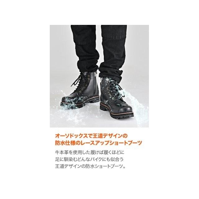 DAYTONA（デイトナ） 20260803 予定 メンズ 防水 本革 牛革 シフト