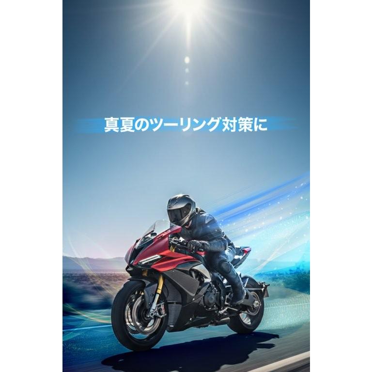 専用 DAYTONA（デイトナ） 在庫有り DP024 AEROFRAMEインナーBK/L 66464