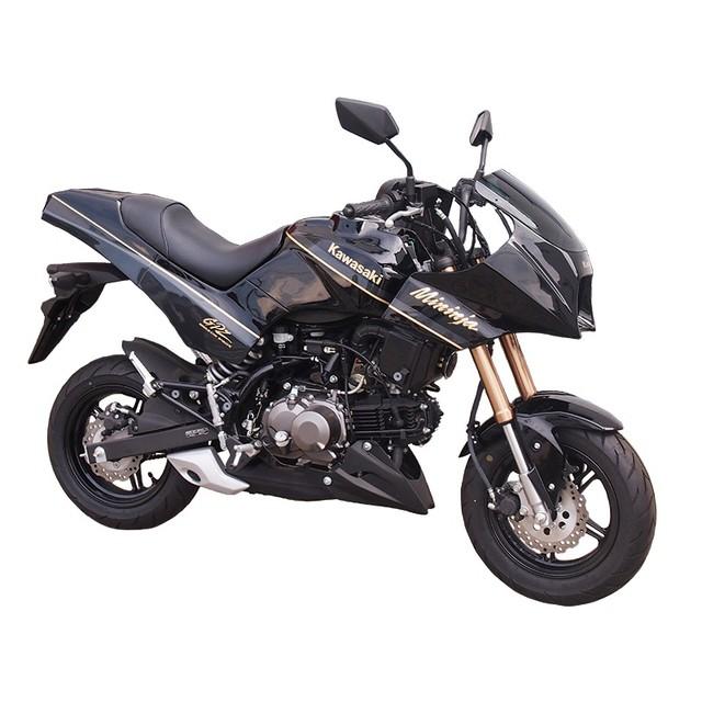 DOREMI COLLECTION（ドレミコレクション） Z125PRO ミニンジャ外装塗装