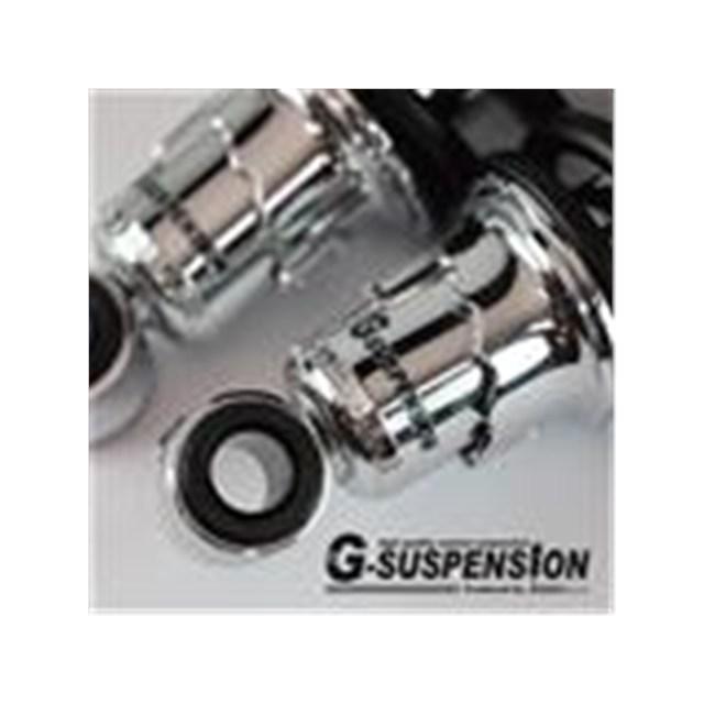 GOODS（グッズ） G-SUSPENSION300 / クローム （14-10） / 250TR G5