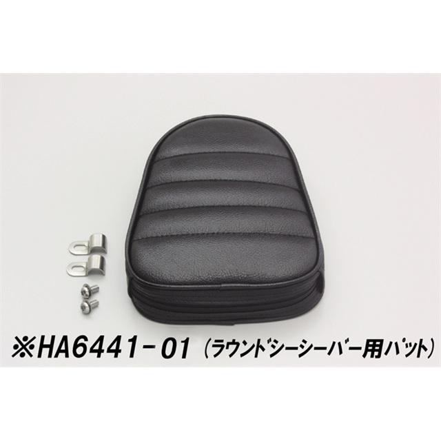 在庫有り HURRICANE ハリケーン シーシーバー プレート レブル250(MC49