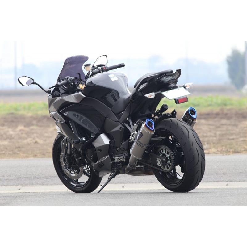 r's gear Kawasakiニンジャ1000 (Z1000SX) ワイバンリアル