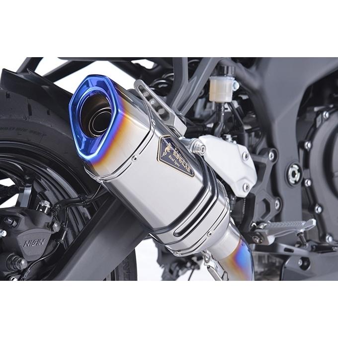 r's gear アールズギア KawasakiZX-25R リアルスペック シングルタイプ