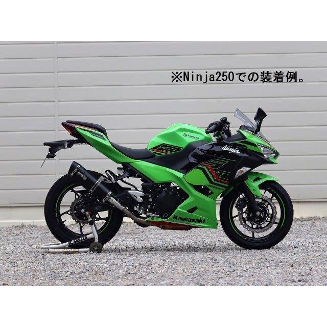 m＊即日発送可能です WR'S（ダブルアールズ） Z250 SS-OVAL F- B LACK TITAN WR'S SF4275JM
