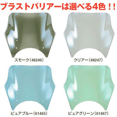【専用商品】 DAYTONA（デイトナ） W650(-07)他用 ブラストバリアー(ステー付) ＿