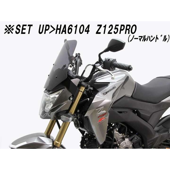 HURRICANE（ハリケーン） Z125PRO(16-17)用 スクリーン(スモーク