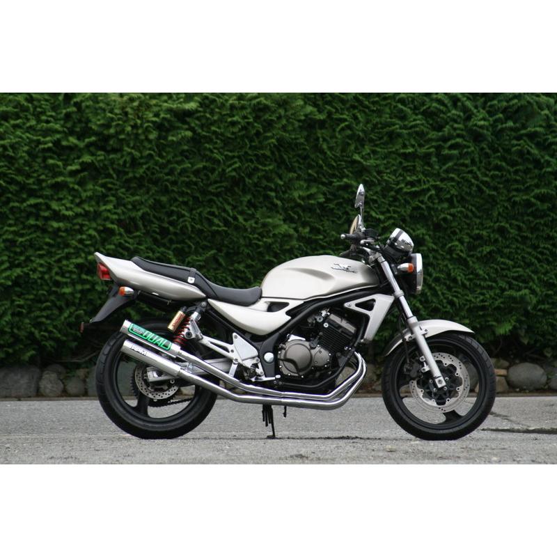 バリオス ZR250A 1型 91-96 RPM Dual フルエキ マフラー RPM バリオス/BALIUS-1(ZR250A/91-96)用 RPM DUAL右2本出し フル