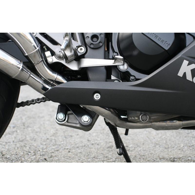 RPM Ninja250/Z250(EX250L/ER250C)用 RPM DUAL右2本出し フル