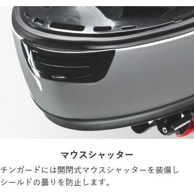 リード工業 LEAD バイク用 フルフェイス ヘルメット CROSS CR-715