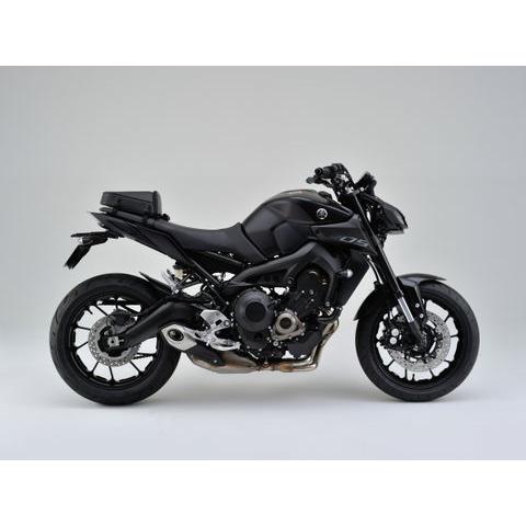 HenlyBegins（ヘンリービギンズ） デイトナ DAYTONA バイク用 リア