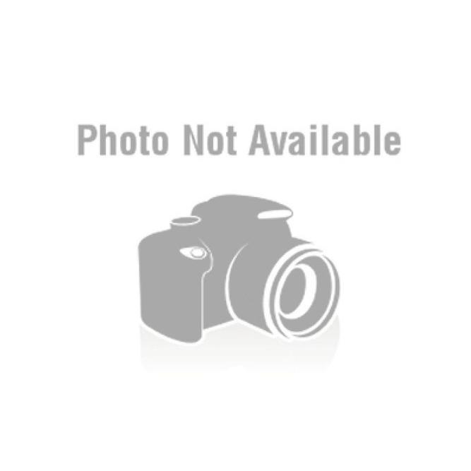 中古 アライ ARAI バイク用 シールド スーパーアドシス I ミラー