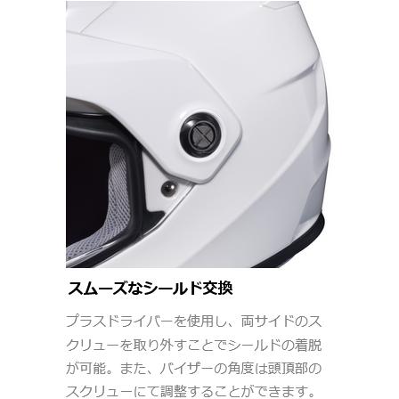 日曜500円OFFクーポン RSタイチ RS TAICHI バイク用 ヘルメット オフロード HJC DS-X1 ソリッド セミフラット ブラック XLサイズ(60-61cm) HJH133BK01XL｜moto-zoa｜07