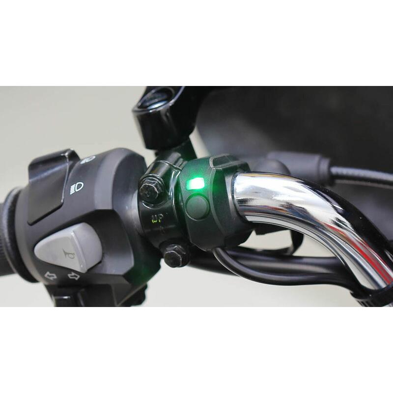 キジマ KIJIMA バイク用 スイッチ フォグランプ インジケータ付き クランプタイプ 3046255 ITM0015793210