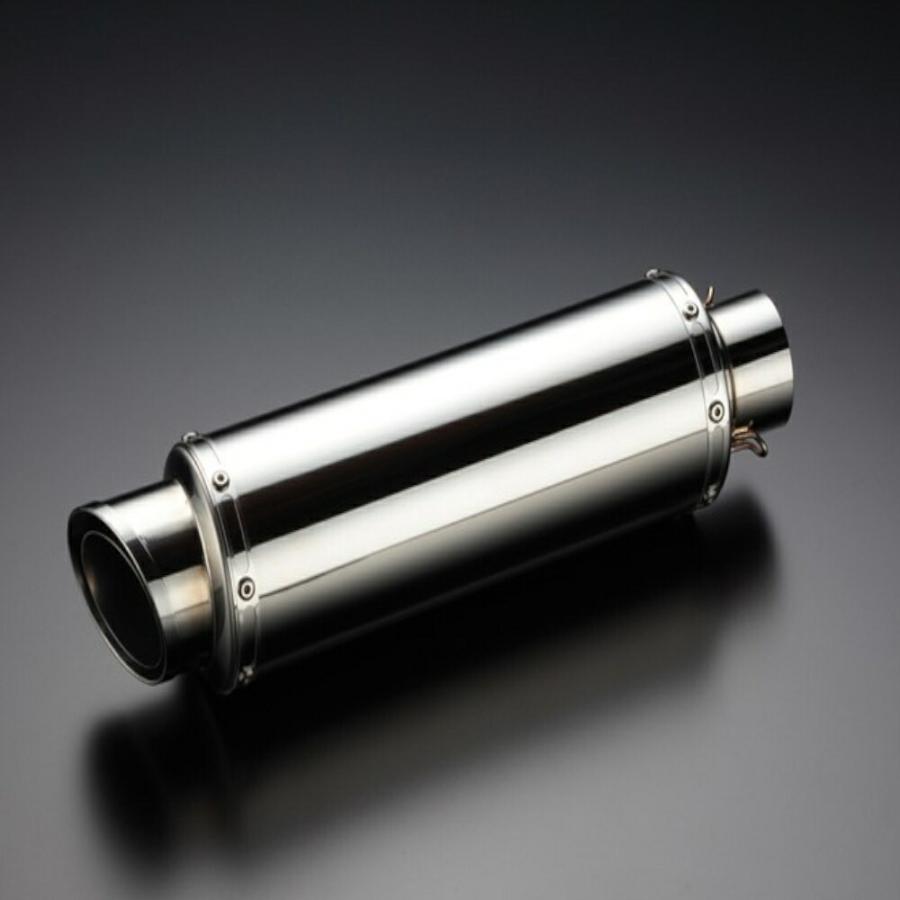 B111-11-000 SS400カーボンⅡ PS250 MF09 1個 BEAMS(ビームス) 【通販