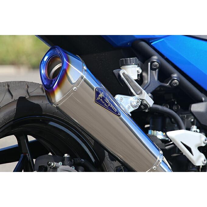 r's gear（アールズギア） バイク用 マフラー Ninja250(18-),Z250(19