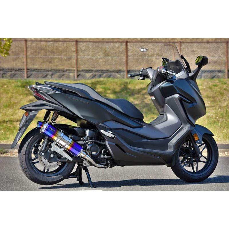 BEAMS（ビームス） バイク用 フルエキゾーストマフラー R-EVO ヒート