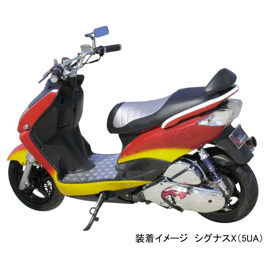 KITACO（キタコ） バイク用 クランクケースカバーガーニッシュ